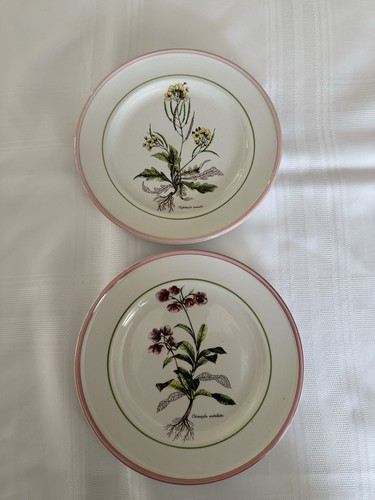 Vintage collectible botanical - collectible,