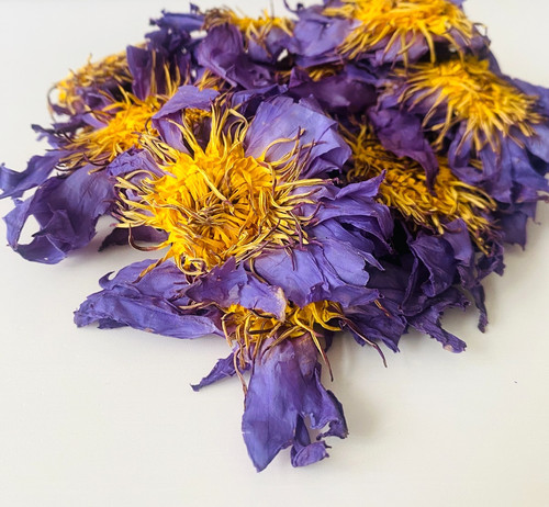 Dried blue lotus nymphaea - blue,