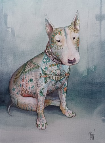 English bull terrier - bull,