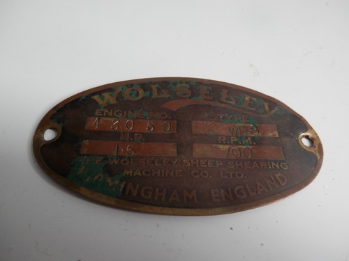 Wolesley sheep shearing - sheep,