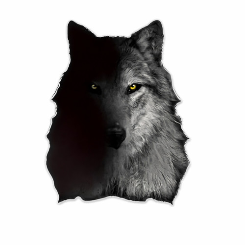 Wolf watching from the - wolf,