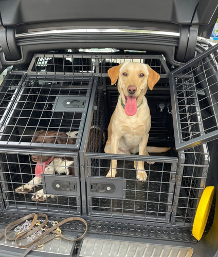 Double steel car dog cage - double,