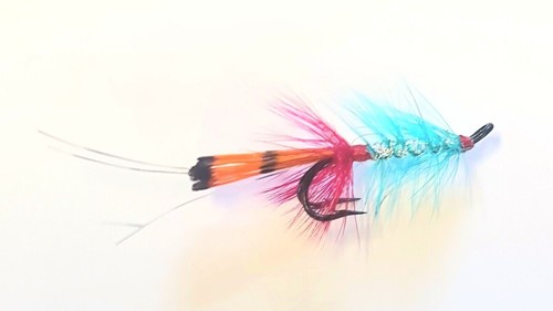 Modern shrimp salmon doubles - salmon,