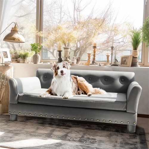 Large elevated dog sofa - dog,