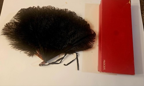 Antique vintage ostrich black - antique,