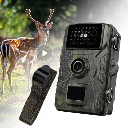 Outdoor wildlife trail camera - outdoor,