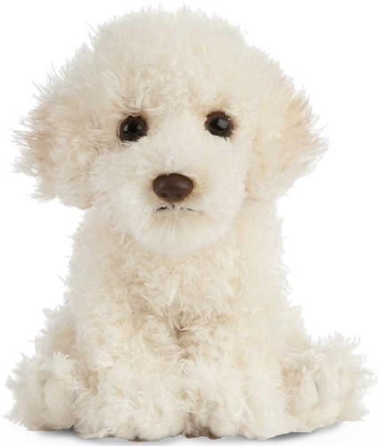 Living nature labradoodle - living,