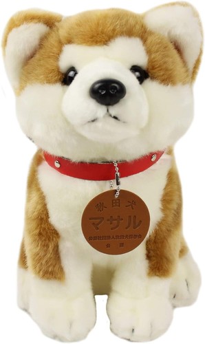 Akita inu japanese dog - japanese, masaru