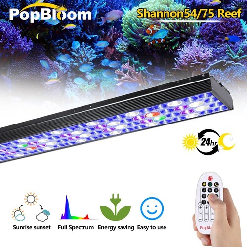 Popbloom timer control marine - popbloom,