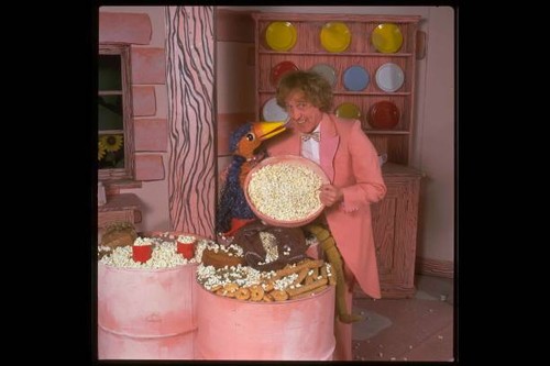 Entertainer rod hull - entertainer,