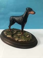 Doberman Dog - On Mahogany