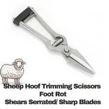 Goat Sheep Hoof Trimming