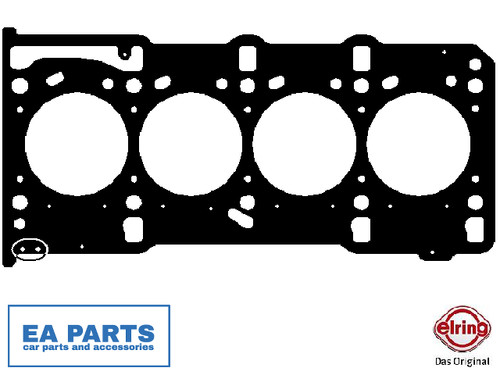 Gasket cylinder head - head, fiat