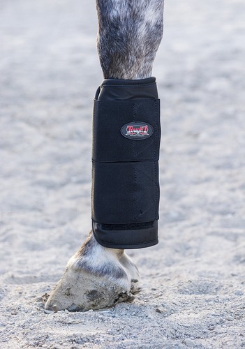 Horse tendon magnetic therapy - horse,