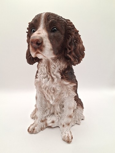 Vivid arts real life springer - vivid,