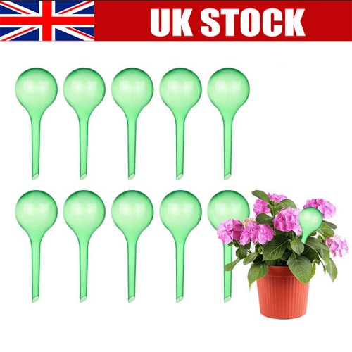 10pcs plant self - plant,