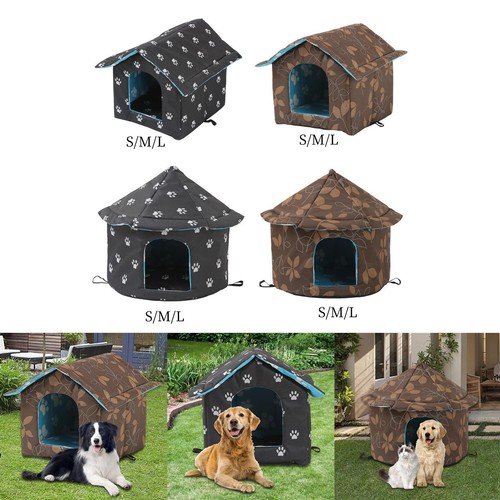 Outdoor feral cats warm - warm, house