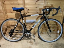 Custom Viking FX Road Racing