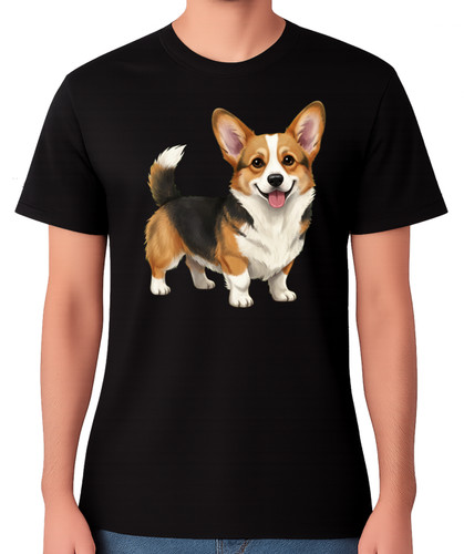 Pembroke welsh corgi - pembroke,