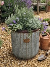 Foras Vintage Galvanized Zinc