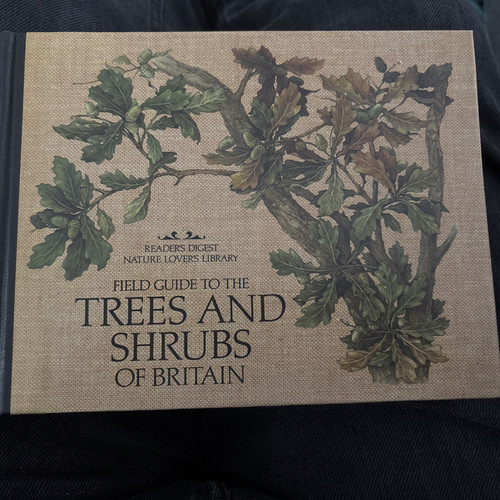 Field guide the trees - field, to