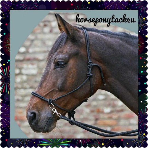 Bitless pressure rope halter - bitless,