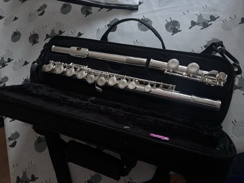 Nuova concert flute - concert,
