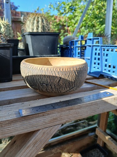 Bonsai clay poy ideal for - bonsai,
