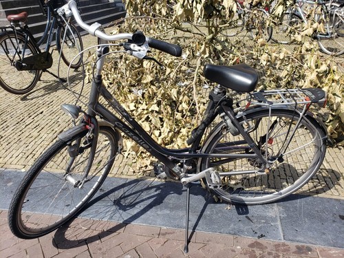 Gazelle bike