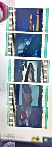 Seed chucky 2004 - chucky,