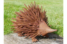 Rusty Hedgehog Garden