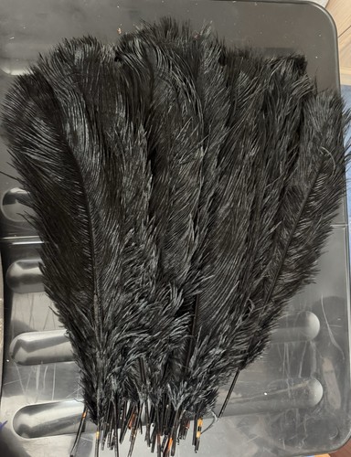 Black natural ostrich feather - ostrich,