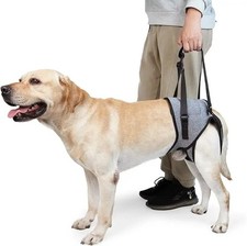 Dog Rear Legs Support Strap