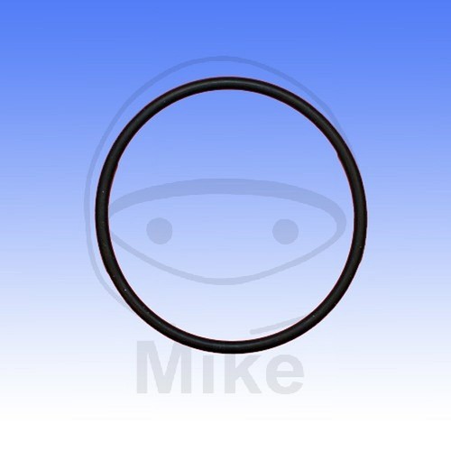 Valve gasket ring - valve, o-ring