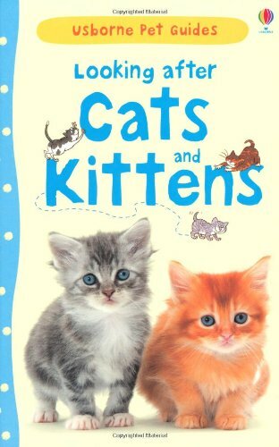 Looking after cats kittens - looking,