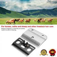 Heavy-Duty Medium Horse