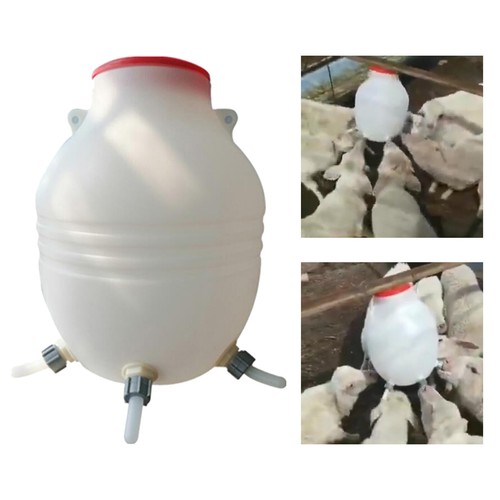 Thickened large capacity lamb - thickened,