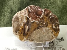 Crystal Petrified Wood Slab