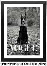 Doberman Dog - Designer Fashion (A5 A4 A3 Picture Print / Framed Poster) #090