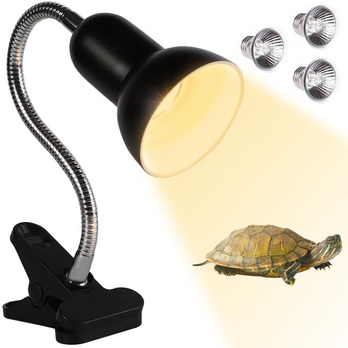 Dongtata tortoise heat - tortoise, lamp