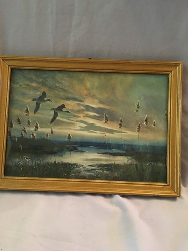 Peter scott vintage framed - peter,