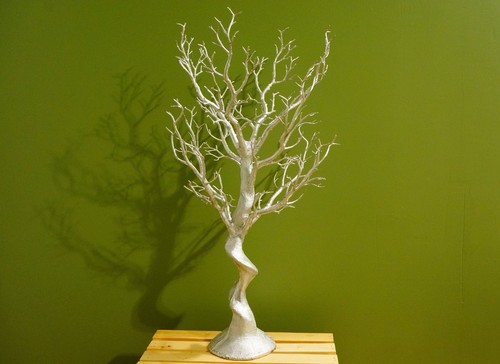 Manzanita tree - of,