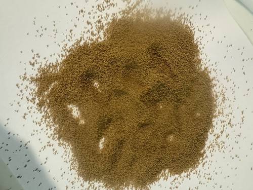 Micro pellet koi fry growth - micro,