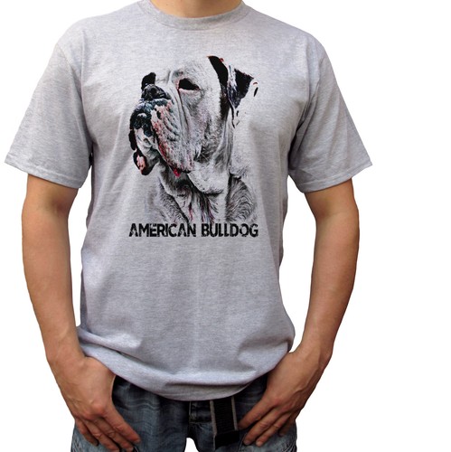 American bulldog head - american, grey