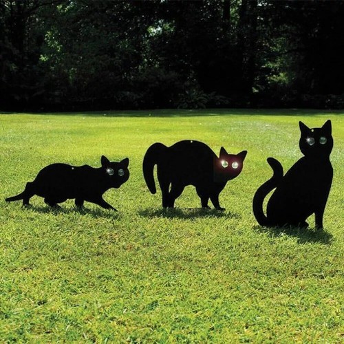 Cat scarer bird - cat, deterrent