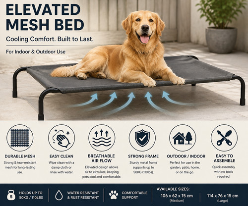 Elevated dog bed raised - bed,