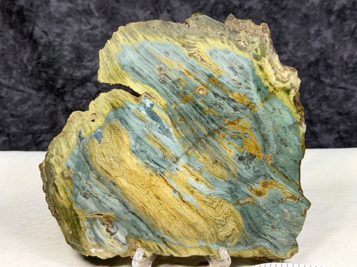 Choice large larsonite - choice, larsonite(gary