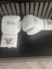 Winning 14oz lace up gloves