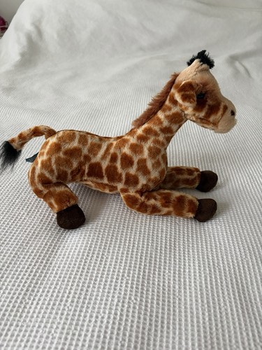 Chester zoo giraffe - chester,