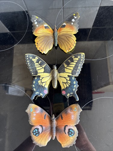 Wall mounted butterfly - wall,